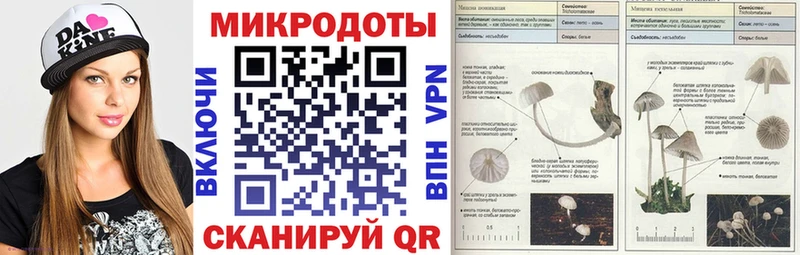 Галлюциногенные грибы Psilocybine cubensis  Купить где  Искитим 