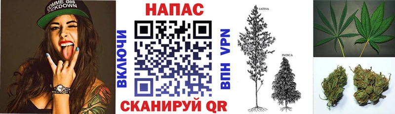Купить где  Искитим  МАРИХУАНА конопля 